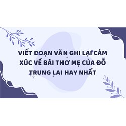 Viết đoạn văn ghi lại cảm xúc về bài thơ Mẹ của Đỗ Trung Lai hay nhất