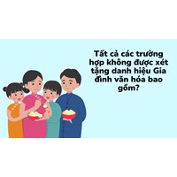 Tất cả các trường hợp không được xét tặng danh hiệu Gia đình văn hóa bao gồm?