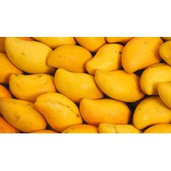 Các loại xoài phổ biến và cách chọn mua xoài giòn ngon chất lượng