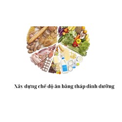 Xây dựng chế độ ăn bằng tháp dinh dưỡng
