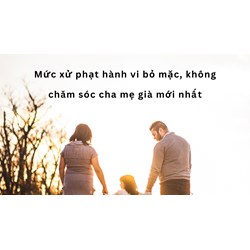 Mức xử phạt hành vi bỏ mặc, không chăm sóc cha mẹ già mới nhất