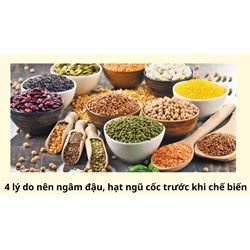 4 lý do nên ngâm đậu, hạt ngũ cốc trước khi chế biến