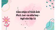 Cảm nhận về hình ảnh Ph.G. Lor-ca siêu hay - Ngữ văn lớp 12
