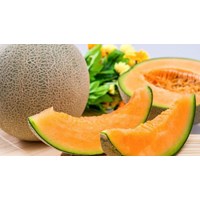 Cách chọn dưa lưới ngon ngọt, chất lượng cao