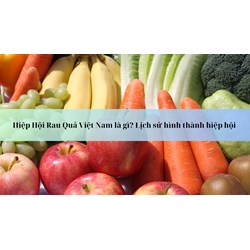 Hiệp Hội Rau Quả Việt Nam là gì? Lịch sử hình thành hiệp hội