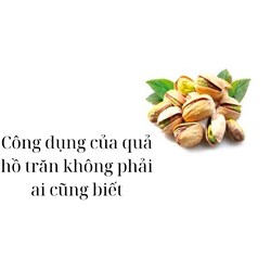 Công dụng của quả hồ trăn không phải ai cũng biết