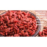Lợi ích sức khỏe Quả Goji Berries và tác dụng phụ Goji Berries