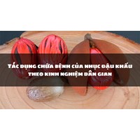 Tác dụng chữa bệnh của nhục đậu khấu theo kinh nghiệm dân gian