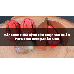 Tác dụng chữa bệnh của nhục đậu khấu theo kinh nghiệm dân gian