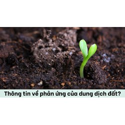 Thông tin về phản ứng của dung dịch đất?
