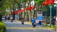 Dải phân cách trong giao thông đường bộ gồm những loại nào?