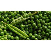 Tổng hợp các món ăn từ đậu Hà Lan dễ làm