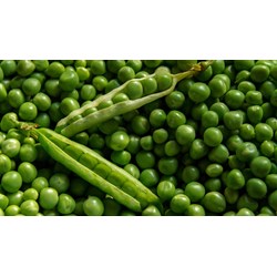 Tổng hợp các món ăn từ đậu Hà Lan dễ làm