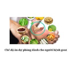 Chế độ ăn dự phòng dành cho người bệnh gout