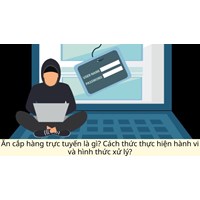 Ăn cắp hàng trực tuyến là gì? Cách thức thực hiện hành vi và hình thức xử lý?
