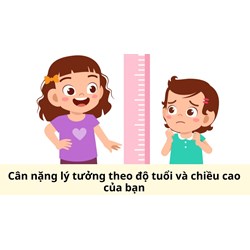 Cân nặng lý tưởng theo độ tuổi và chiều cao của bạn