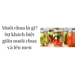 Muối chua là gì? Sự khách biệt giữa muối chua và lên men