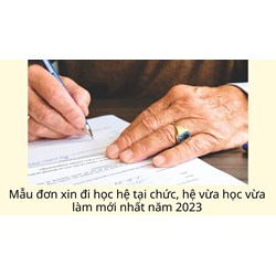 Mẫu đơn xin đi học hệ tại chức, hệ vừa học vừa làm mới nhất