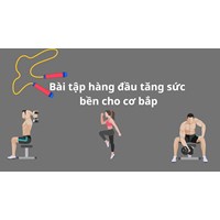 Bài tập hàng đầu tăng sức bền cho cơ bắp