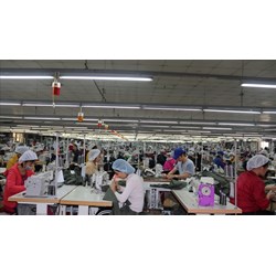 Những nội dung người lao động được kiểm tra, giám sát