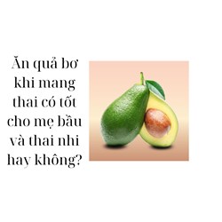 Ăn quả bơ khi mang thai có tốt cho mẹ bầu và thai nhi hay không?