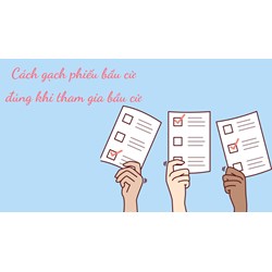 Cách gạch phiếu bầu cử đúng khi tham gia bầu cử
