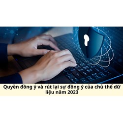 Quyền đồng ý và rút lại sự đồng ý của chủ thể dữ liệu là gì?