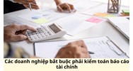Các doanh nghiệp bắt buộc phải kiểm toán báo cáo tài chính