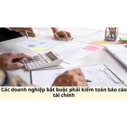 Các doanh nghiệp bắt buộc phải kiểm toán báo cáo tài chính