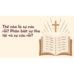 Thế nào là sự cứu rỗi? Phân biệt sự tha tội và sự cứu rỗi?