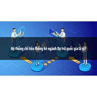 Hệ thống chỉ tiêu thống kê ngành Dự trữ quốc gia là gì?