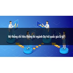 Hệ thống chỉ tiêu thống kê ngành Dự trữ quốc gia là gì?
