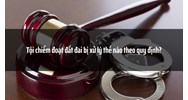 Tội chiếm đoạt đất đai bị xử lý thế nào theo quy định?