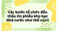 Các bước tổ chức đấu thầu tín phiếu kho bạc Nhà nước như thế nào?