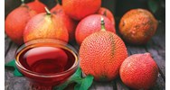 Tác dụng của dầu gấc và cách uống dầu gấc chuẩn nhất