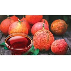 Tác dụng của dầu gấc và cách uống dầu gấc chuẩn nhất