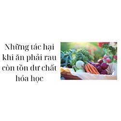 Những tác hại khi ăn phải rau còn tồn dư chất hóa học