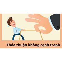 Thỏa thuận không cạnh tranh trong quan hệ lao động