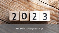 Năm 2023 là năm con gì và mệnh gì?