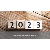 Năm 2023 là năm con gì và mệnh gì?