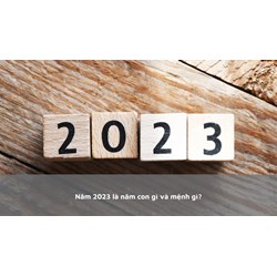 Năm 2023 là năm con gì và mệnh gì?