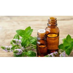Tinh dầu hương nhu có tác dụng gì theo như kinh nghiệm dân gian?
