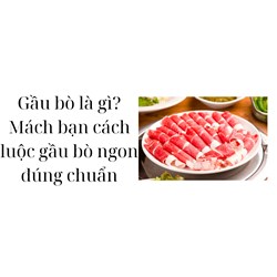 Gầu bò là gì? Mách bạn cách luộc gầu bò ngon đúng chuẩn