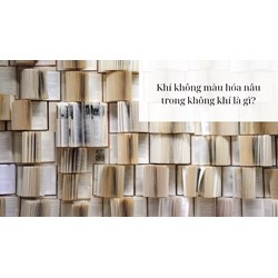 Khí không màu hóa nâu trong không khí là?