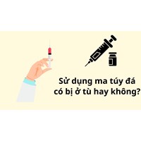 Sử dụng ma túy đá có bị ở tù hay không?