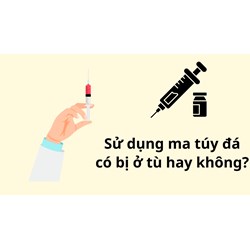 Sử dụng ma túy đá có bị ở tù hay không?