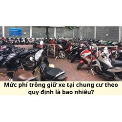 Mức phí trông giữ xe tại chung cư theo quy định là bao nhiêu?