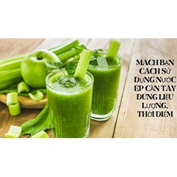 Mách bạn cách sử dụng nước ép cần tây đúng liều lượng, thời điểm