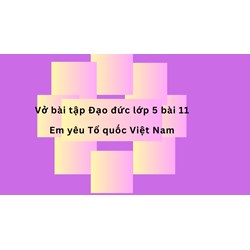 Vở bài tập Đạo đức lớp 5 bài 11 Em yêu Tổ quốc Việt Nam