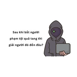 Sau khi bắt người phạm tội quả tang thì giải người đó đến đâu?
